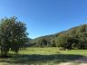 IMG_1285.jpeg