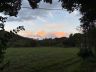 IMG_1306.jpeg