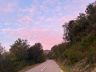 IMG_1567.jpeg
